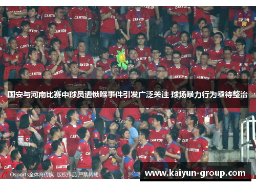 国安与河南比赛中球员遭锁喉事件引发广泛关注 球场暴力行为亟待整治